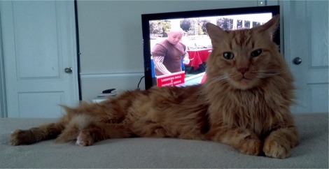 TV Time